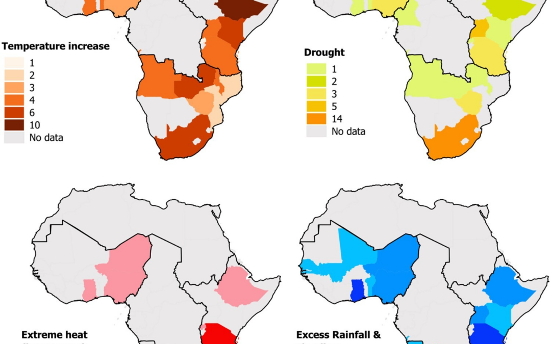  Frequency of prominent climate hazards causing losses and damages in food production as reported in the literature, by African regions (Filho et al. 2026).